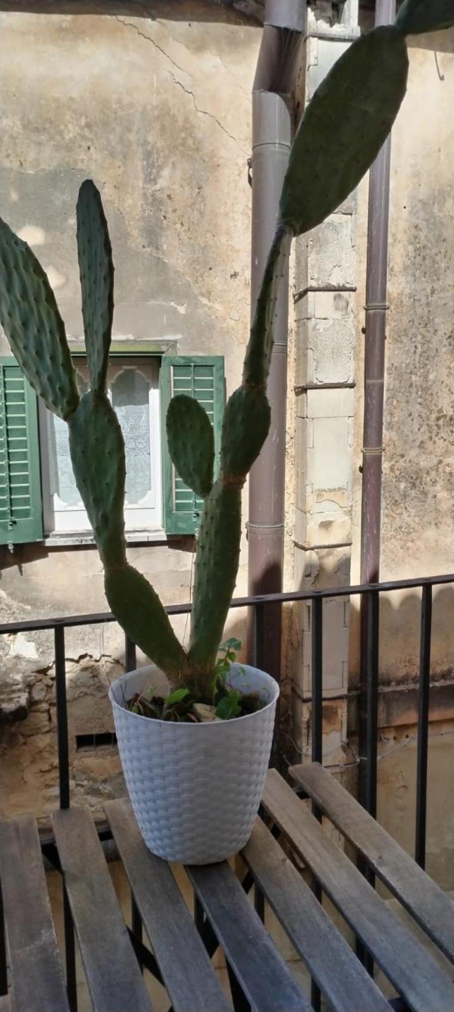 Residenza Donnafugata B&B Ragusa Exterior photo